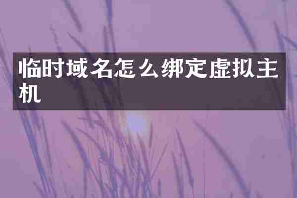 临时域名怎么绑定虚拟主机