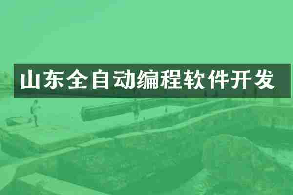 山东全自动编程软件开发