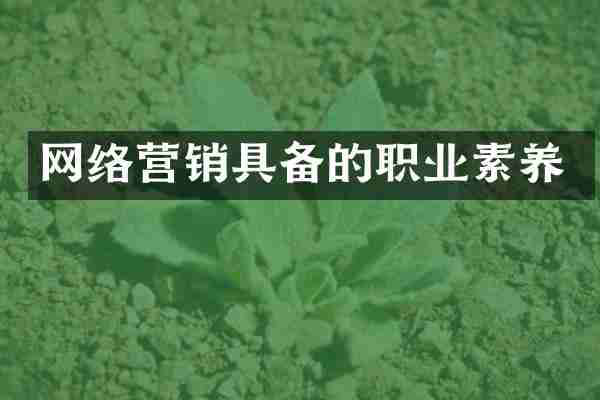网络营销具备的职业素养