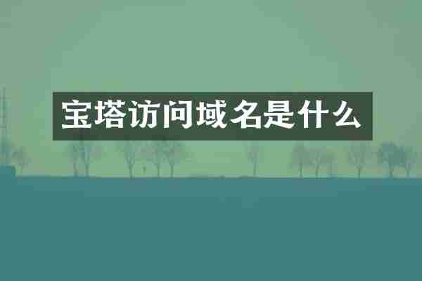宝塔访问域名是什么