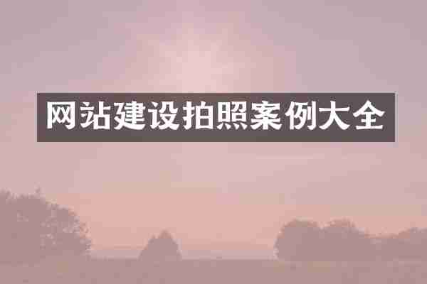 网站建设拍照案例大全