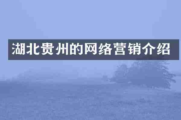 湖北贵州的网络营销介绍