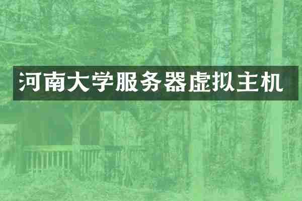 河南大学服务器虚拟主机
