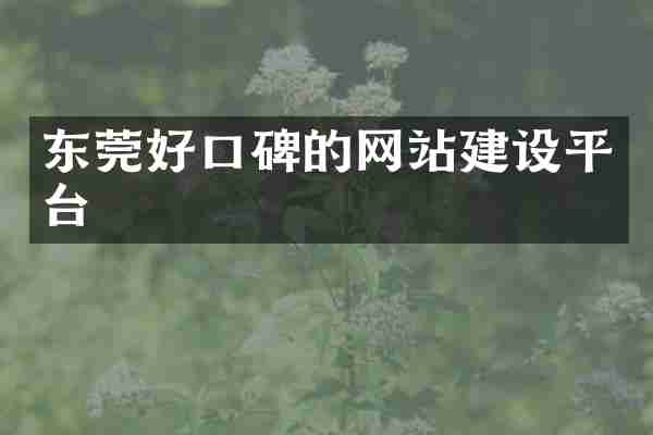 东莞好口碑的网站建设平台