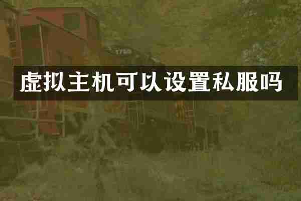 虚拟主机可以设置私服吗