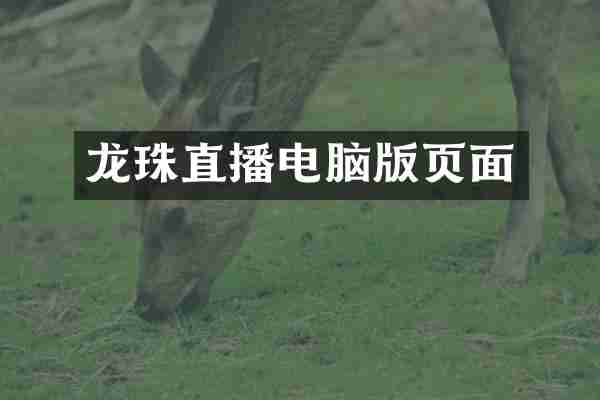 龙珠直播电脑版页面