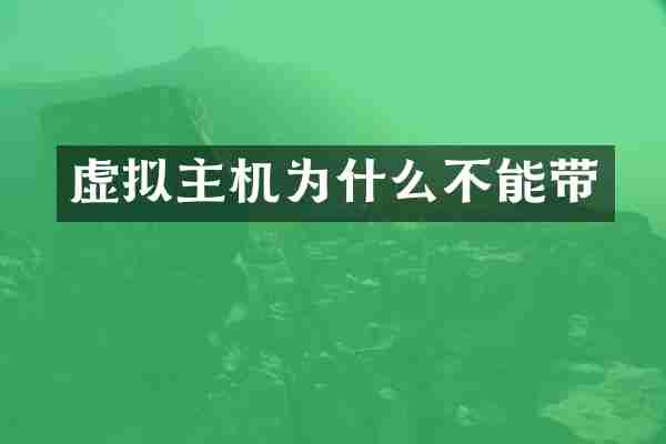 虚拟主机为什么不能带