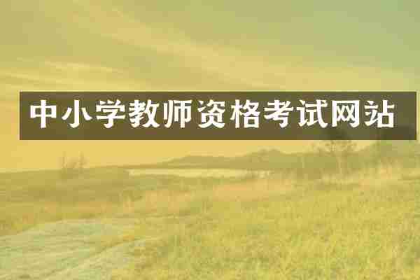 中小学教师资格考试网站