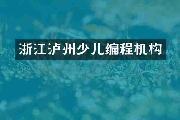 浙江泸州少儿编程机构