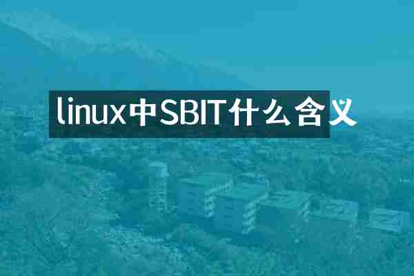 linux中SBIT什么含义