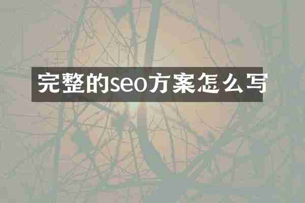 完整的seo方案怎么写