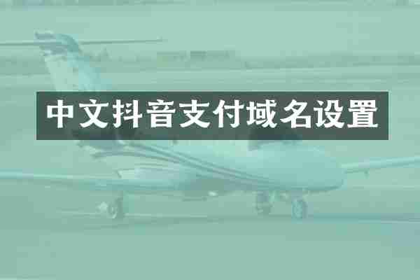 中文抖音支付域名设置