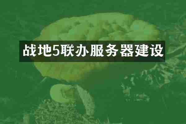 战地5联办服务器建设