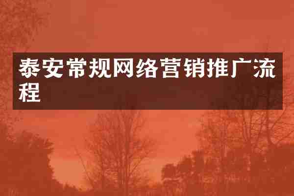 泰安常规网络营销推广流程