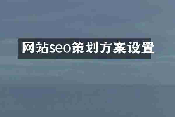 网站seo策划方案设置