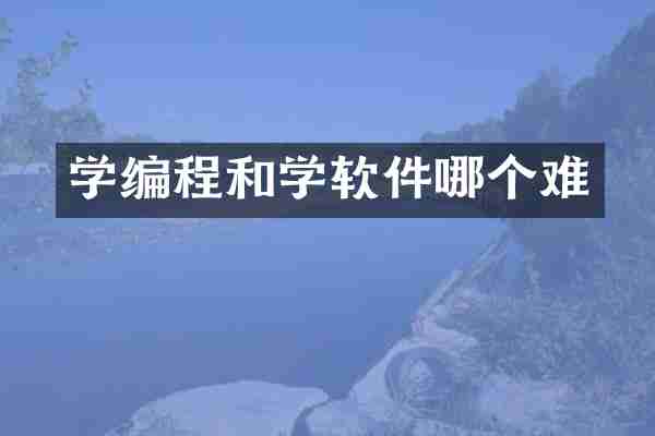 学编程和学软件哪个难