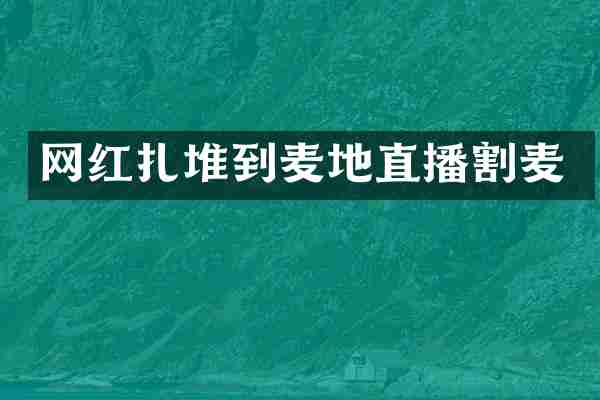 网红扎堆到麦地直播割麦