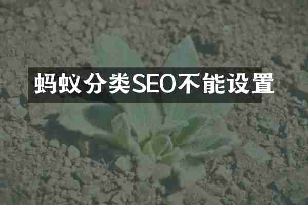 蚂蚁分类SEO不能设置