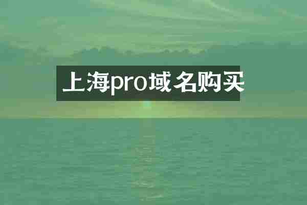 上海pro域名购买
