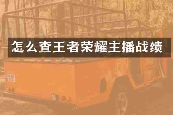 怎么查王者荣耀主播战绩