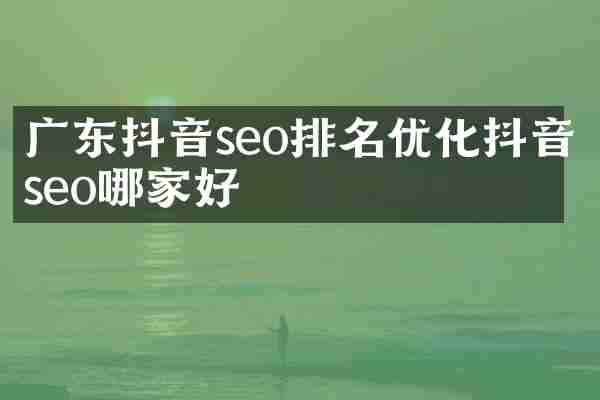 广东抖音seo排名优化抖音seo哪家好