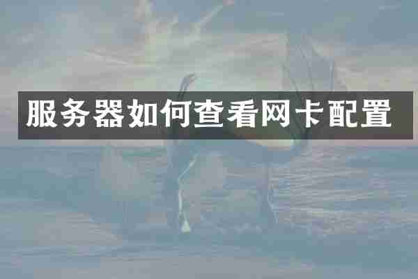 服务器如何查看网卡配置