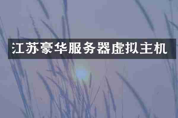 江苏豪华服务器虚拟主机