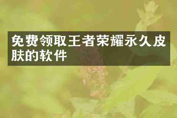 免费领取王者荣耀永久皮肤的软件