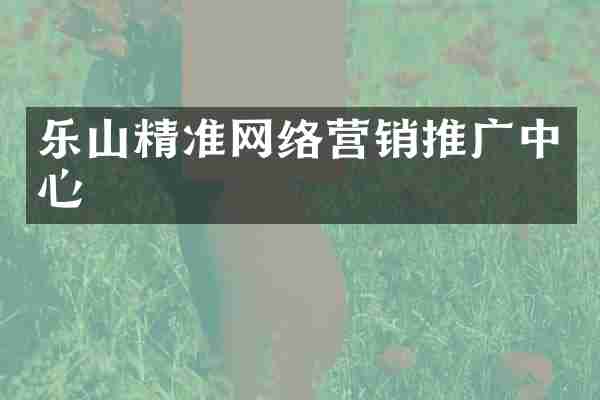 乐山精准网络营销推广中心