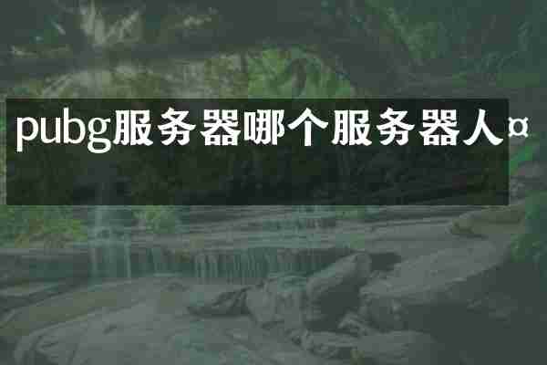 pubg服务器哪个服务器人多