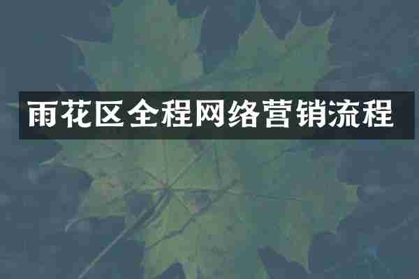 雨花区全程网络营销流程