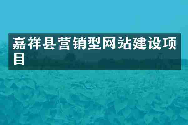 嘉祥县营销型网站建设项目