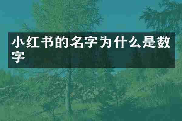 小红书的名字为什么是数字