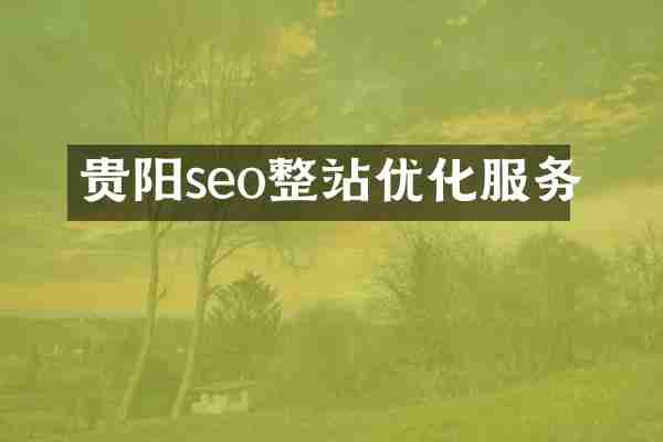 贵阳seo整站优化服务