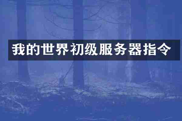我的世界初级服务器指令
