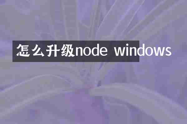 怎么升级node windows