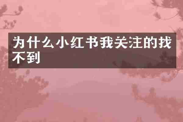 为什么小红书我关注的找不到
