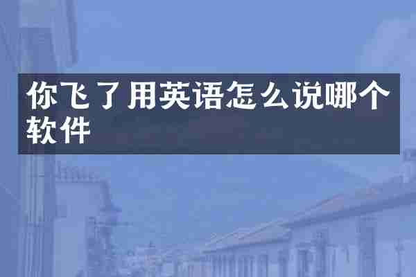 你飞了用英语怎么说哪个软件