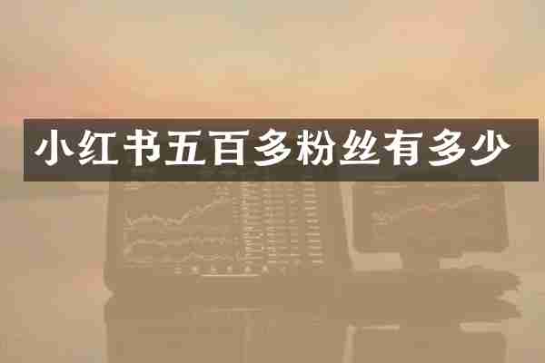 小红书五百多粉丝有多少