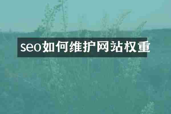 seo如何维护网站权重
