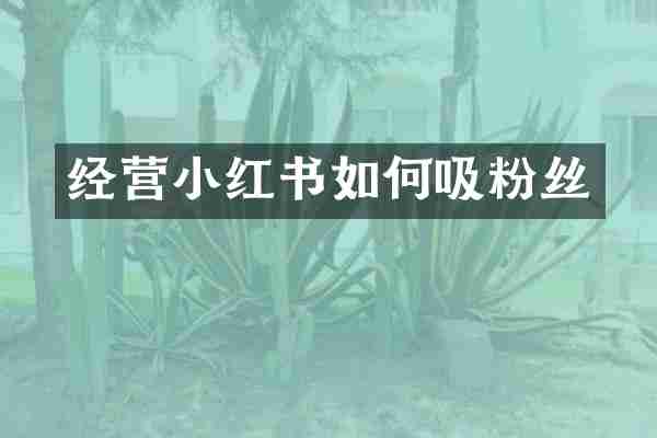 经营小红书如何吸粉丝