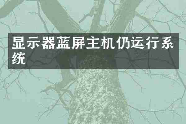 显示器蓝屏主机仍运行系统