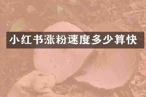 小红书涨粉速度多少算快