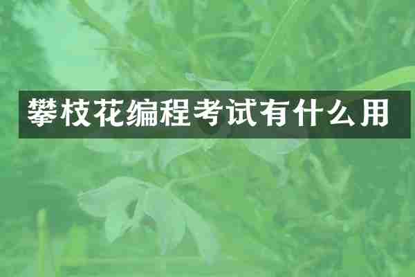 攀枝花编程考试有什么用