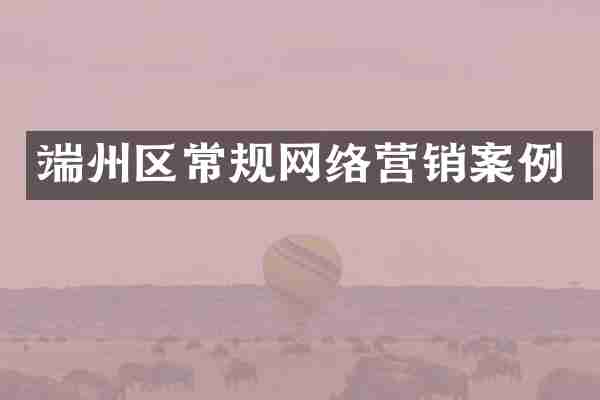 端州区常规网络营销案例