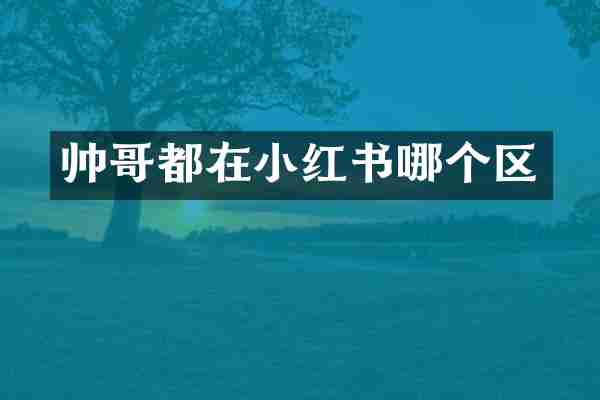 帅哥都在小红书哪个区