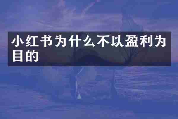 小红书为什么不以盈利为目的