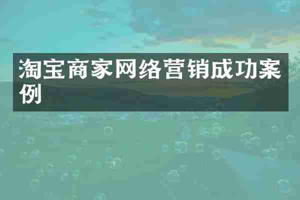 淘宝商家网络营销成功案例