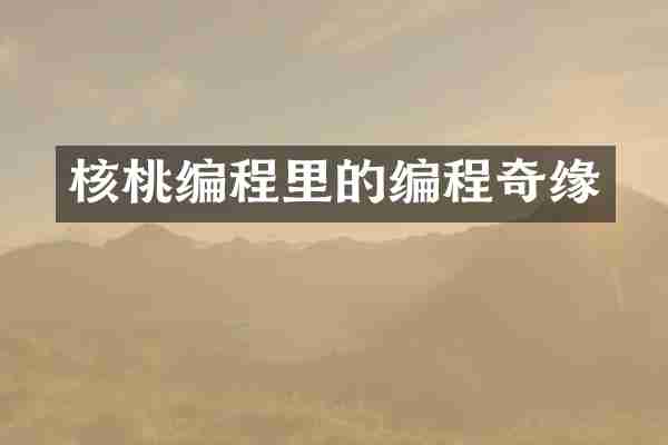 核桃编程里的编程奇缘