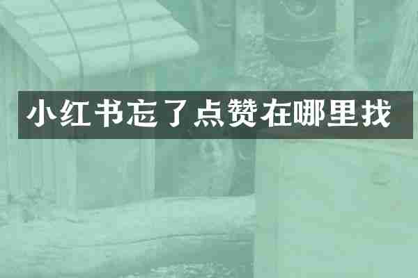 小红书忘了点赞在哪里找